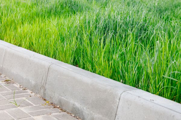 Cost of Concrete Curb Repair in Ankeny