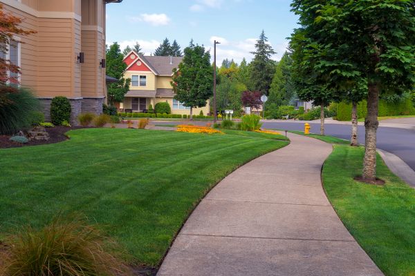 Cost of Sidewalk Patching in Ankeny